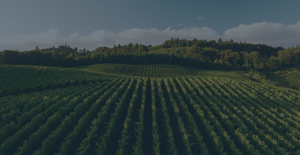 https://19871150.fs1.hubspotusercontent-na1.net/hubfs/19871150/Food%20Manufacturing%20%7C%20Madison%20Partners.png